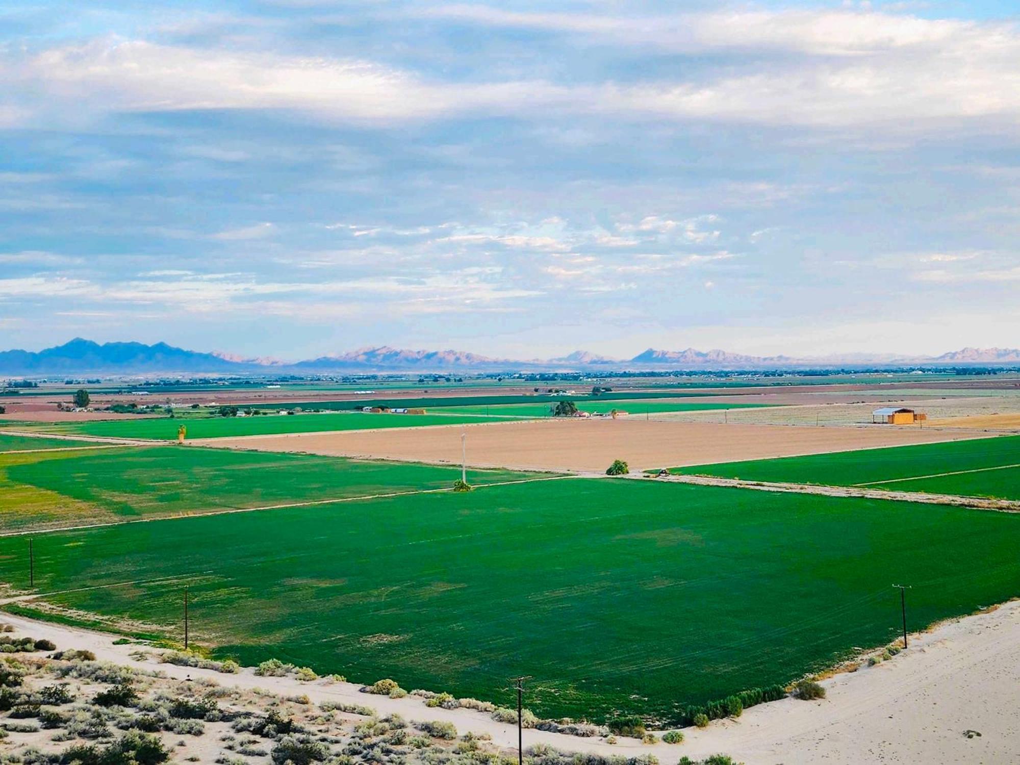 Holiday Inn Express & Suites Blythe By Ihg ภายนอก รูปภาพ